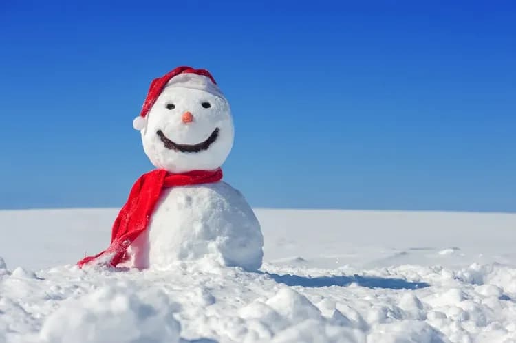招財北海道旅遊|洞爺湖燈節祭.札幌白色樹燈節.雪盆戲雪.企鵝遊行.小樽漫遊.溫泉美食五日-5