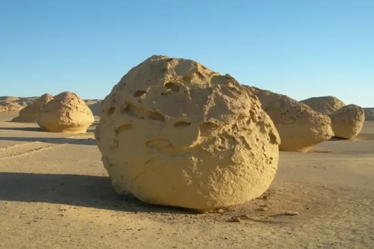 Wadi al-Hitan-埃及最大綠洲