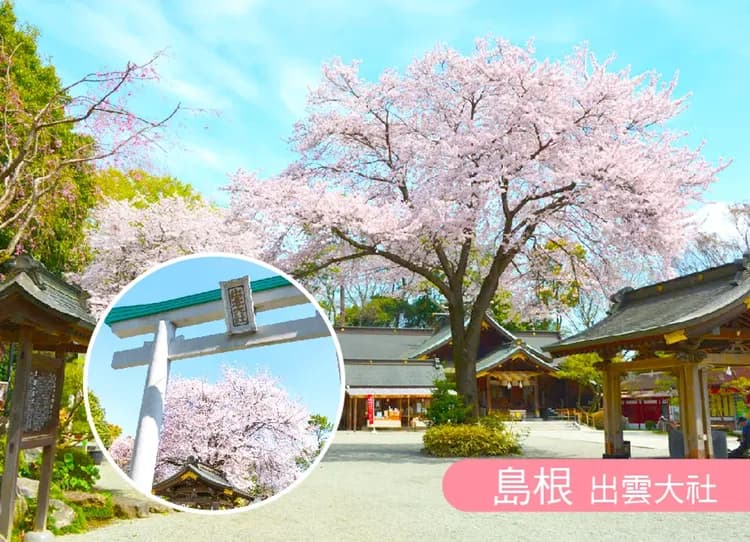 花見雙溫泉山陰山陽5日.海上鳥居.打吹公園.出雲大社.足立美術館.松江遊船.津山城.德國森林天空鞦韆.廣島牡蠣(岡山)-5