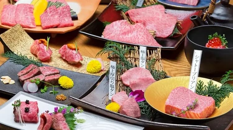 輕奢行|春櫻四國三鐵道7日|伊予灘&時代黎明&千年物語.道後夜櫻賞.大阪國際5星|大阪進出四溫泉-8