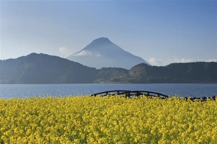 南九州日南摩埃石像.釜蓋神社.桷志田黑醋工廠見學.仙巖園.砂浴溫泉六日|不進免稅店-6