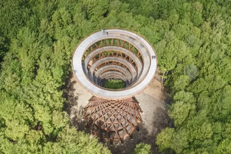 旋轉森林塔(effektarchitects、campadventured)提供-丹麥新發現