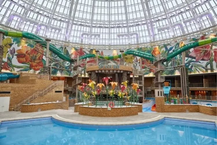 五星迎仕柏度假村(乙晚+LED數位大道+水上樂園)