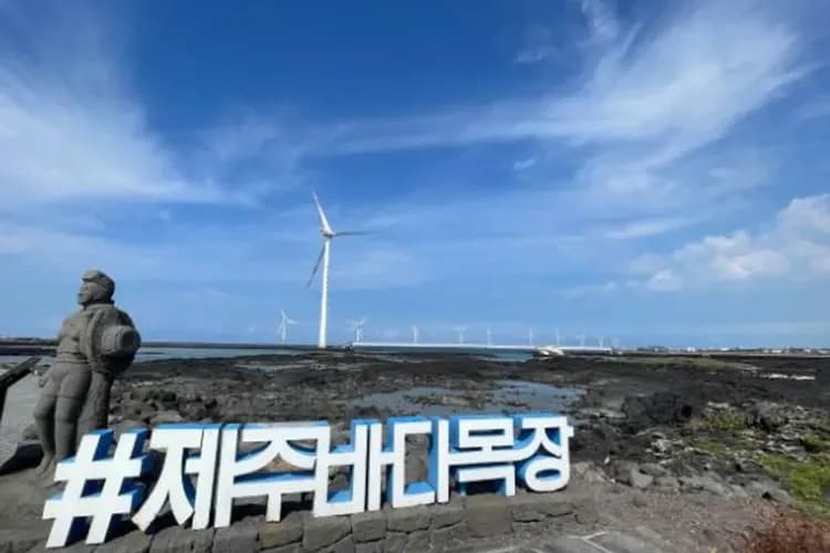 【快閃濟州、年後搶好康】黃金油菜花海、泰迪熊汗蒸幕、海女文化遺產、市區五星飯店三日-7