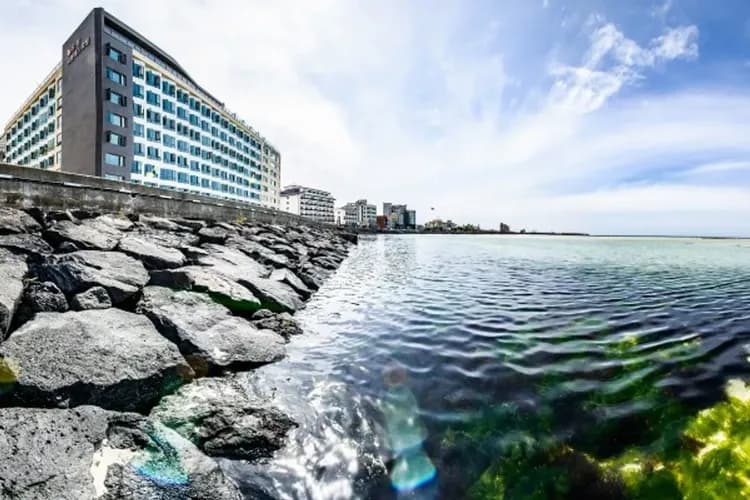 濟州優拓由布萊斯酒店(UTOP UBLESS HOTEL)-濱海飯店:UTOP UBLESS HOTEL乙晚或同級