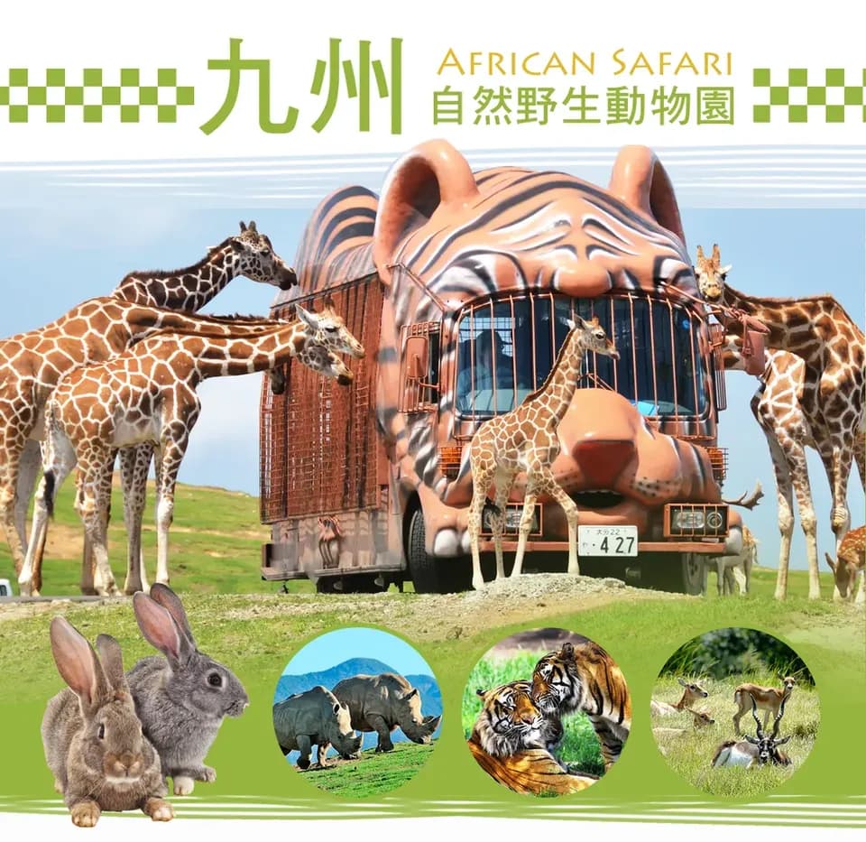 九州暑假親子旅遊景點推薦,九州自然野生動物園