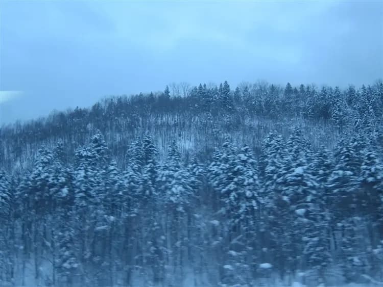 冬季北海道|破冰船.冰釣公魚.丹頂鶴.旭山動物園.熱氣球.冰上活動.三大螃蟹美人湯五日|保住三晚溫泉-7