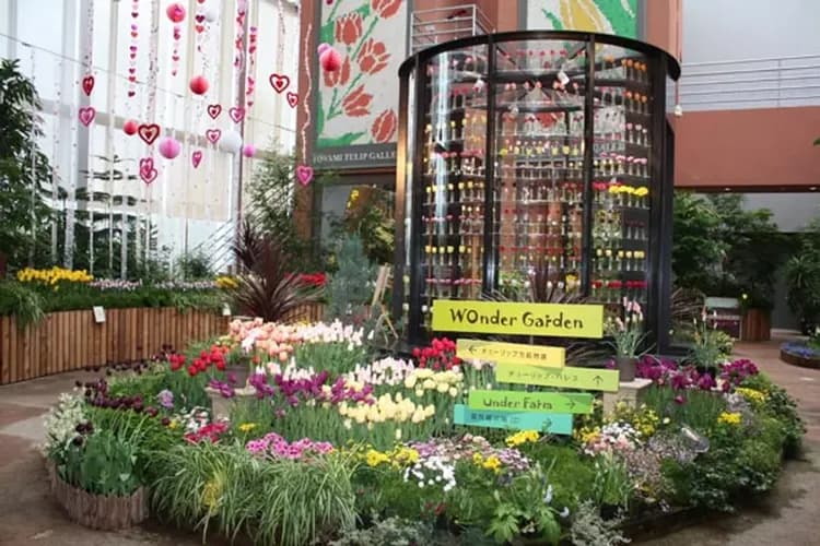 花現北陸~櫻百選霞間溪、合掌村兼六園、長島名花之里、天命反轉溫泉香五日-7