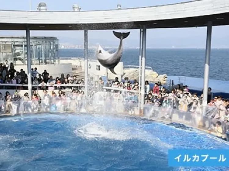 大分海之卵水族館