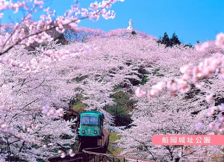 東北櫻花百選溫泉5日.安達太良空中纜車.會津鐵道.白石川堤一目千本櫻.松島遊船.藍寶石水族館.採果樂.燒肉吃到飽-5