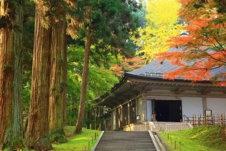 中尊寺(世界文化遺產)