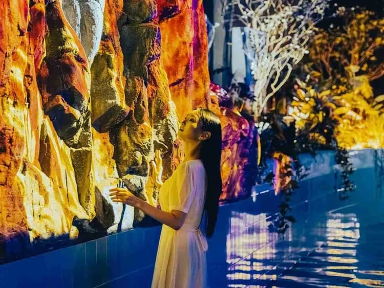 濟州水世界WATER WORLD