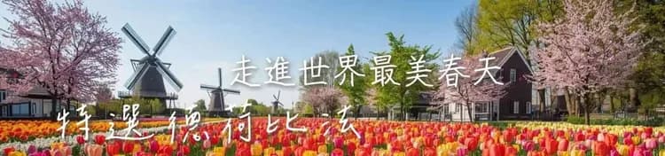 雄獅旅遊, 荷德比法旅遊