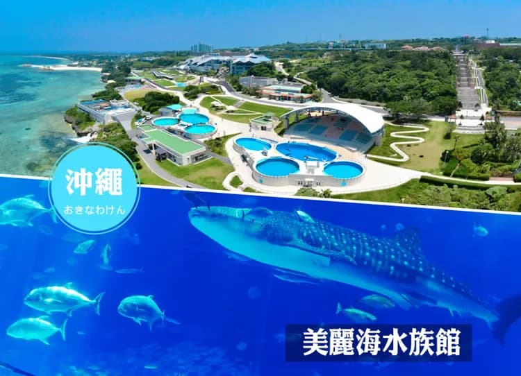 華航趣沖繩4日.世界最美之海水族館.星野下午茶.漁市場海鮮好食‧購物趣(贈送一日單軌電車卷)-9