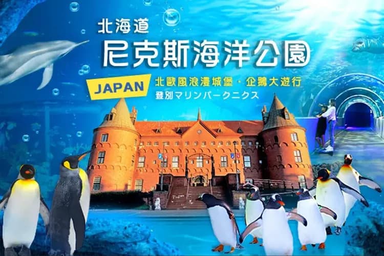 写真提供:登別マリンパークニクス/禁止轉載-尼克斯海洋公園(企鵝遊行)