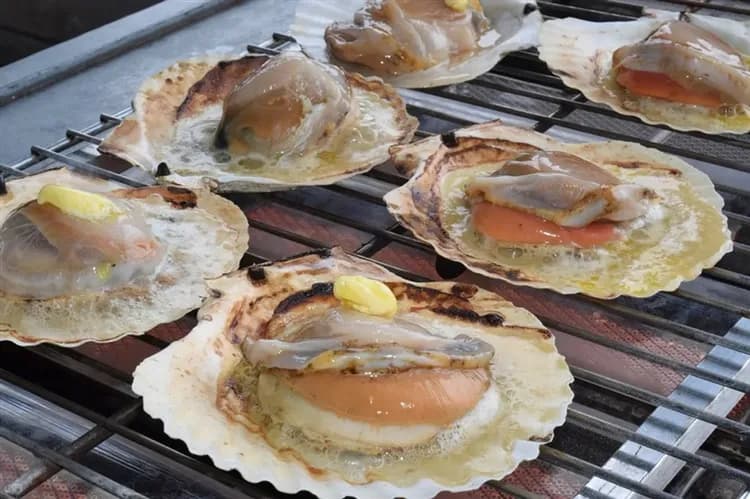 同樂會春櫻北陸|台灣虎航|五大百選賞櫻.足羽川櫻.兼六園.新穗高纜車.長良川鐵道.雙溫泉.螃蟹甜蝦五日|高雄來回-5