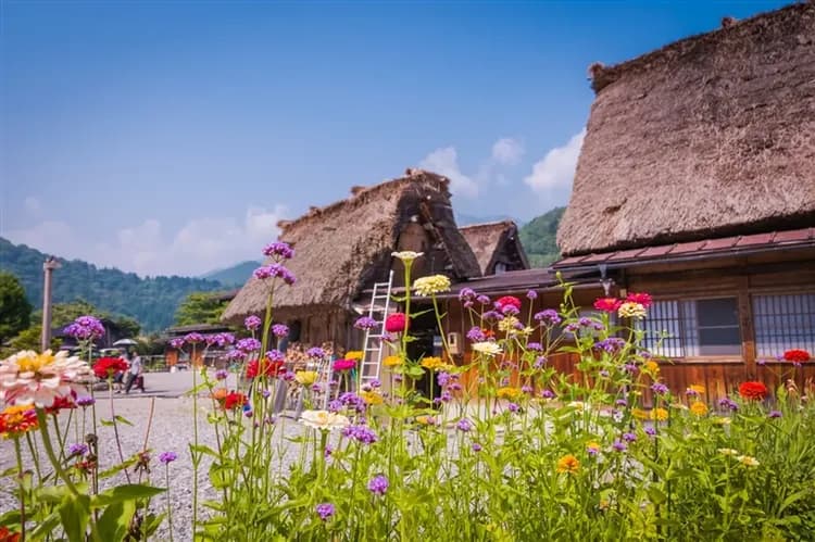 同樂會春櫻北陸|台灣虎航|五大百選賞櫻.足羽川櫻.兼六園.新穗高纜車.長良川鐵道.雙溫泉.螃蟹甜蝦五日|高雄來回-6