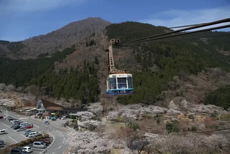 虎航春櫻九州|第2人折3000|春櫻名所.南北全覽.五星螃蟹.熊本城.南阿蘇鐵道.四晚溫泉六日【高雄直飛】-5