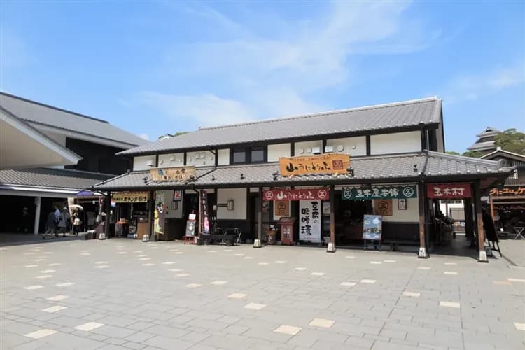 九州限定紫藤花|折1000|三大蟹吃到飽.保住星級酒店.金鱗湖湯布院.南阿蘇鐵道.熊本城.溫泉五日|高雄直飛-6