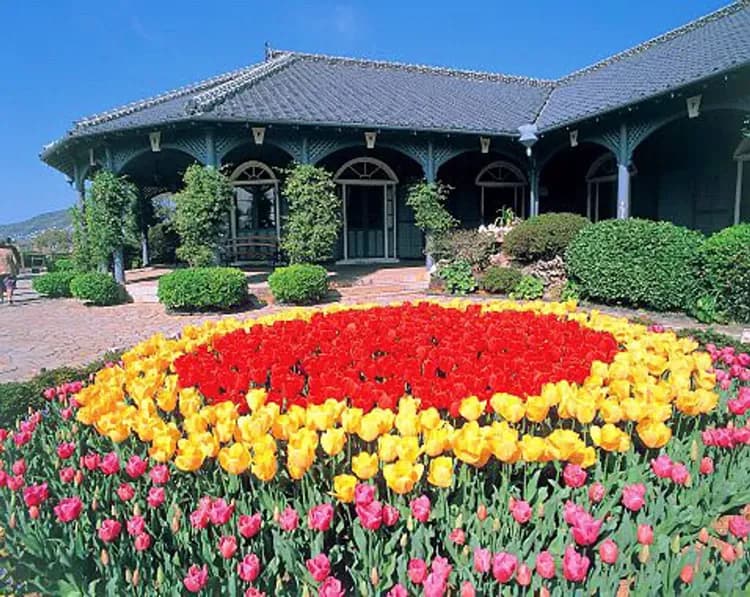 九州鐵道旅行~稻佐山夜浪漫、長崎熊本漫遊、日本百選溫泉、JR雙星豪華列車五日-10