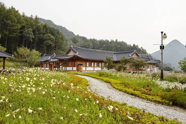 韓國櫻花清清釜~鎮海櫻花祭、韓屋村韓服遊、韓國觀光百選、河回村月映橋五日-7