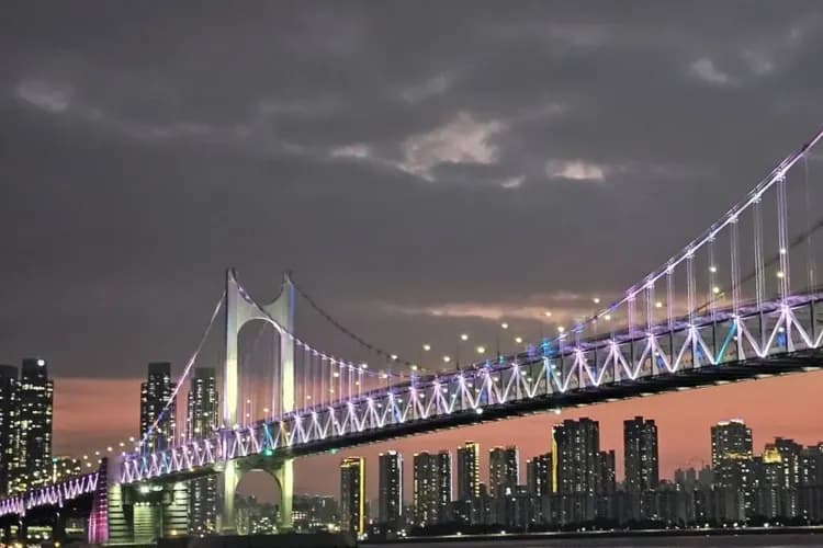 豪華遊艇浪漫夜景+煙火秀(約60分鐘,無酒精飲料+餅乾享用)