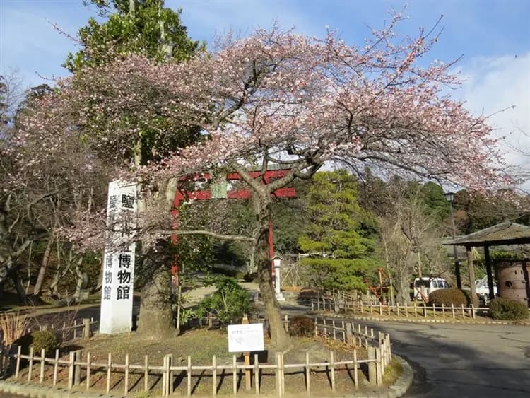 好食在東北旅遊~限量含小費|全程含餐.賞櫻名所~會津若松城.日中線櫻花步道.銀山溫泉街.日本三大合掌村~大內宿.日本三大和牛~米澤牛.3晚溫泉五日-7