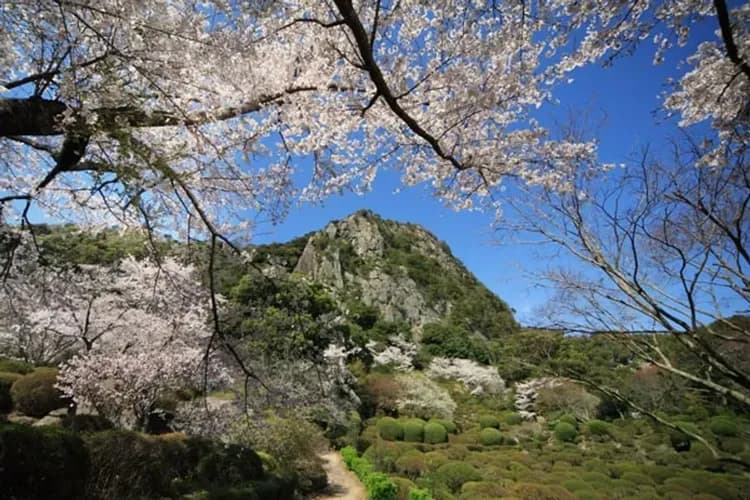 御船山樂園(賞櫻)