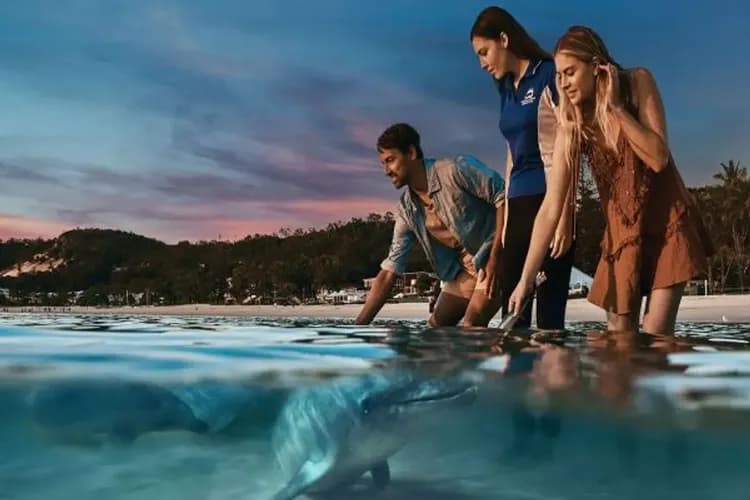 海豚島豐富遊(四輪傳動車、驚奇滑沙、餵海豚、賞鯨遊)