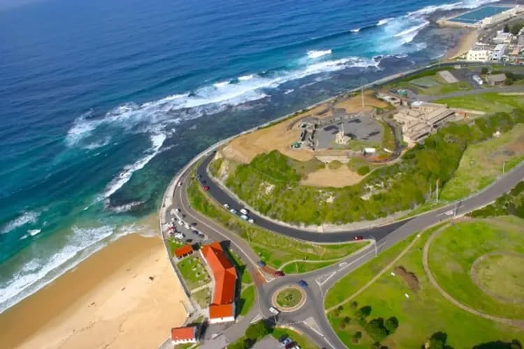 雪梨FUN暑假~騎駱駝滑沙趣、藍山國家公園、塔隆加動物園、探尋紐卡索七日-7