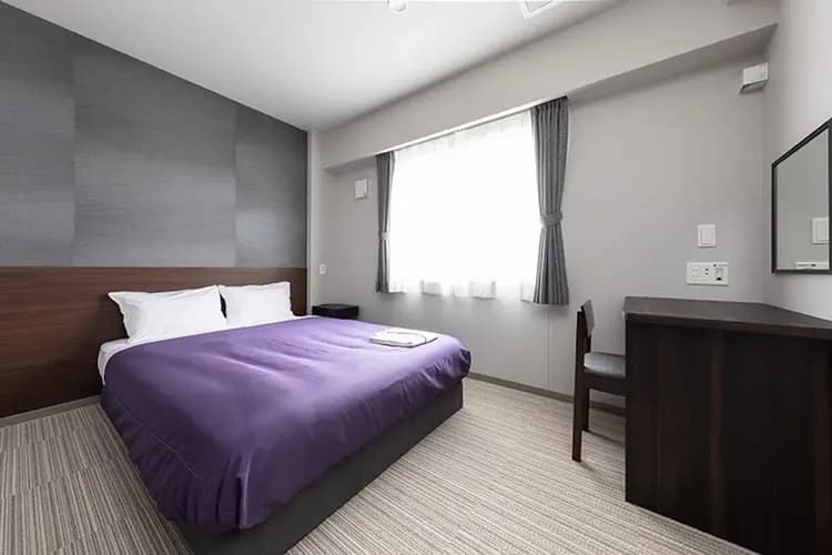 千歲 Classe Stay 飯店(Hotel Classe Stay Chitose)-單人房