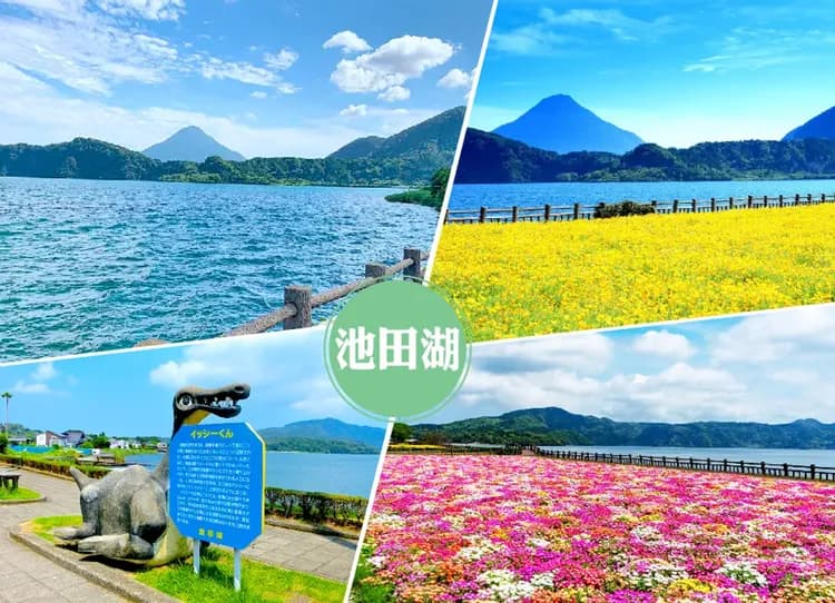 九州秘境屋久島5日.五星魔法仙境千年屋久島.千年衫道‧白雲水峽.櫻島渡輪.指宿砂浴體驗(鹿兒島進出)-11