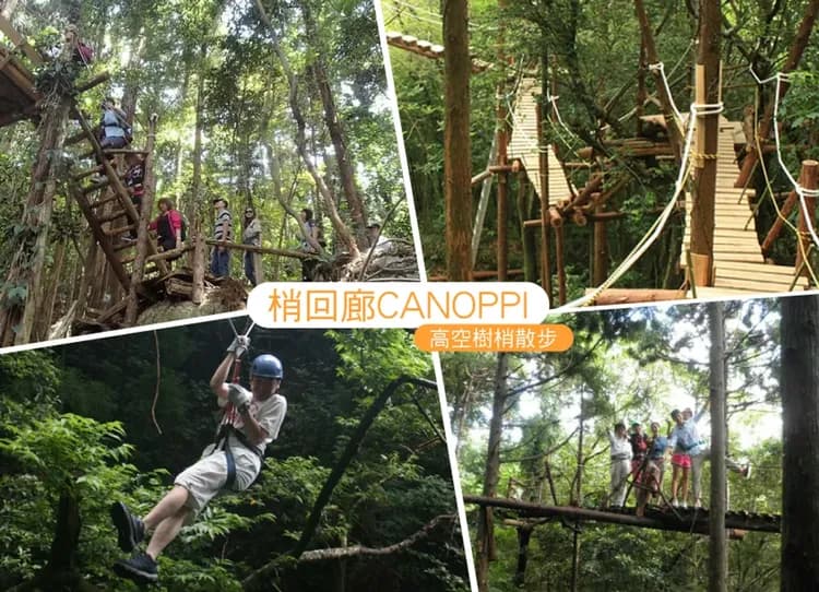 九州秘境屋久島5日.五星魔法仙境千年屋久島.千年衫道‧白雲水峽.櫻島渡輪.指宿砂浴體驗(鹿兒島進出)-7