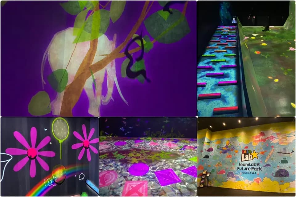 沖繩暑假親子跟團景點 teamLab 未來的遊樂園