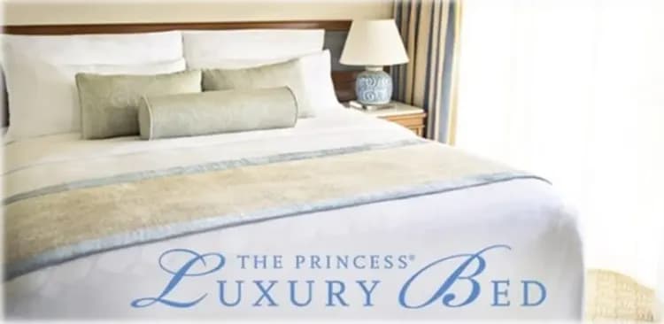 玩美加族|尋夢公主號|阿拉斯加山海戀.冰河灣如夢幻境|團體遊12日-13