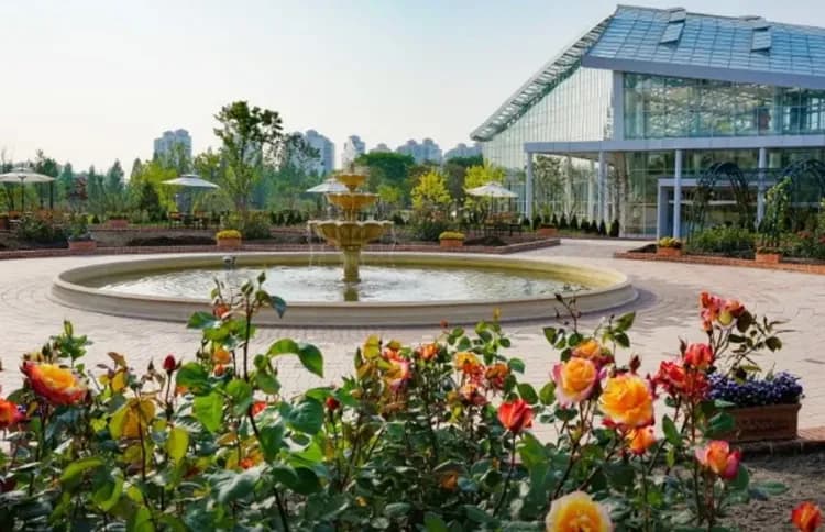 TXG韓國搶好康~手作馬格利酒、水上計程車、天空步道塗鴉秀、乙晚海景飯店五日-5