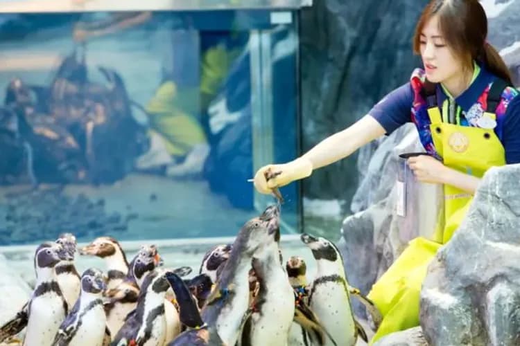 樂天雙主題(樂天世界+水族館)