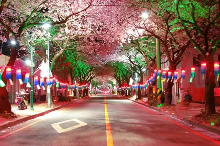 【易起趣濟州、買一送一】神話世界樂園、賞櫻花油菜花、大麥稻草炭烤、五星藍鼎酒店五日-5