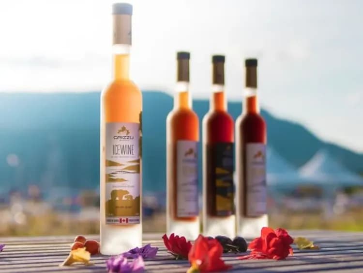 熊谷酒莊(Grizzli Winery)-熊谷酒莊(品嚐冰酒)