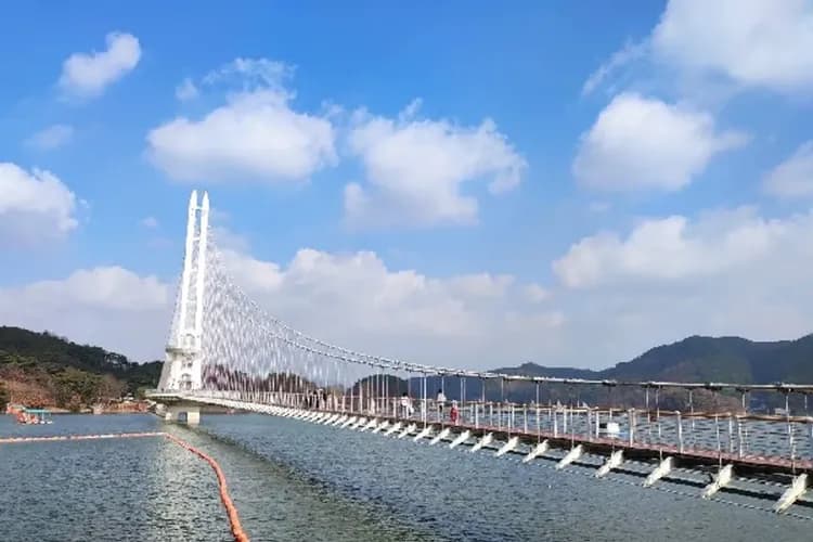 忠清南道(禮唐湖吊橋+禮山市場)