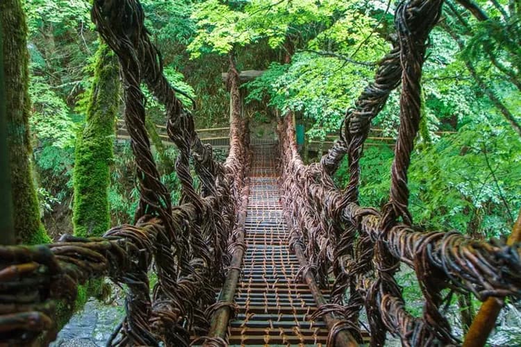 快閃高松四國旅遊|一生必遊金刀比羅宮.米其林三星景點~栗林公園.百大名城~松山城.宮崎駿動畫場景~道後溫泉街.三大奇橋~葛藤橋.大步危遊船四日-11