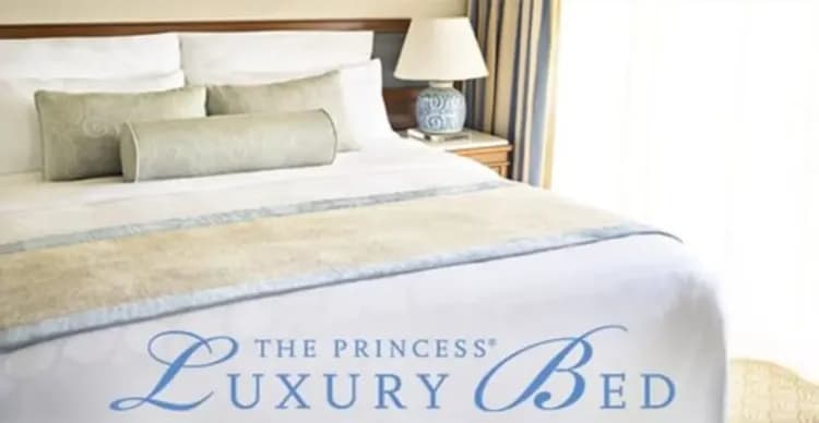 玩美加族|尋夢公主號|樂遊美加五城.舊金山.聖地牙哥.天使之城|團體遊11日-16