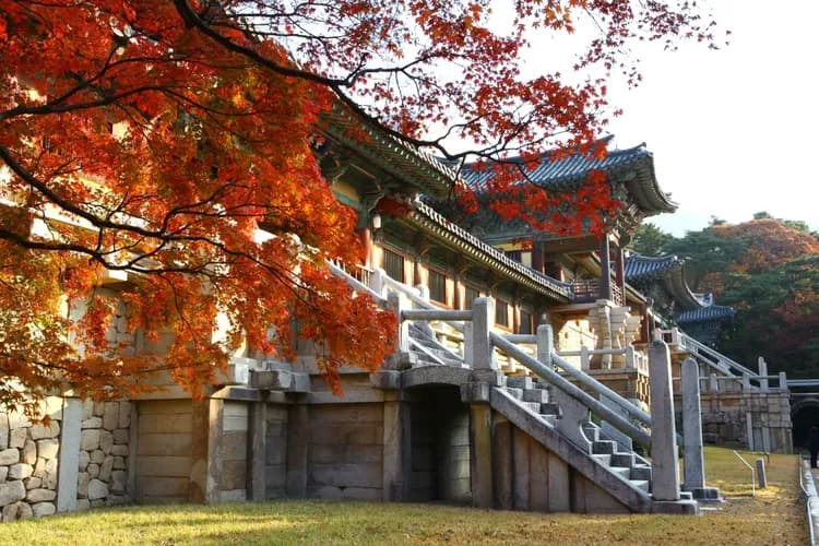 UNESCO世界文化遺產-佛國寺
