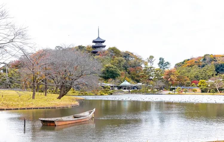 照片取自官網-橫濱三溪園