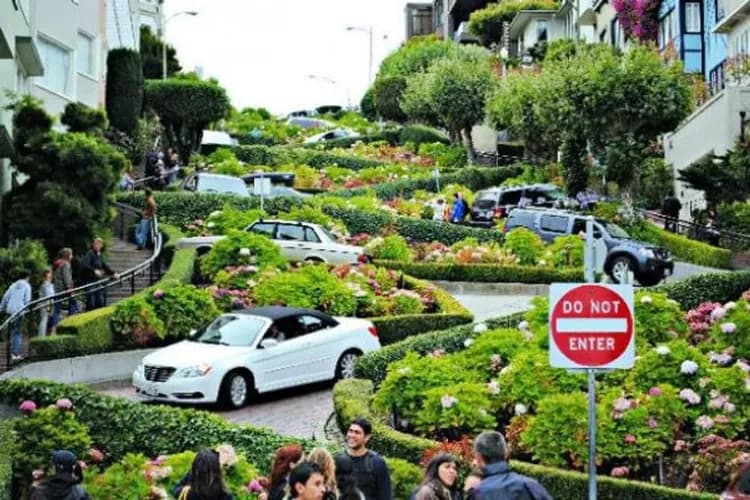 美西MLB體驗~兩大國家公園、五大私房秘境、瘋玩環球影城、OUTLET購物九日-9
