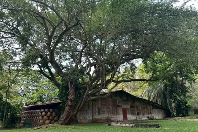 世界文化遺產菸廠園區(KAO MAI LANNA ESTATE)