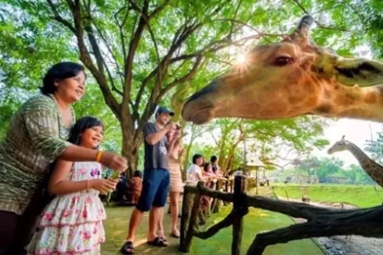 曼芭繽紛樂~綠山動物園、安帕瓦府漫遊、海天盛宴男模秀、曼谷泰好逛五日-5