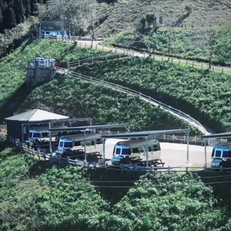 紅柚車露漫遊-2