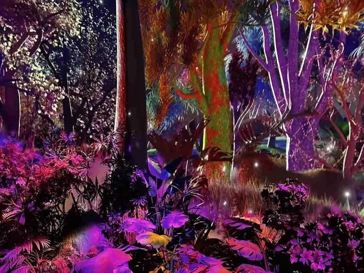 lespace.co.kr-Le Space光影展(韓版TeamLab)