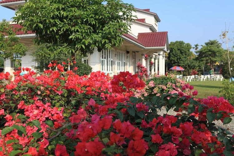 屏東幸福莊園民宿 | 免費停車、美味早餐-12